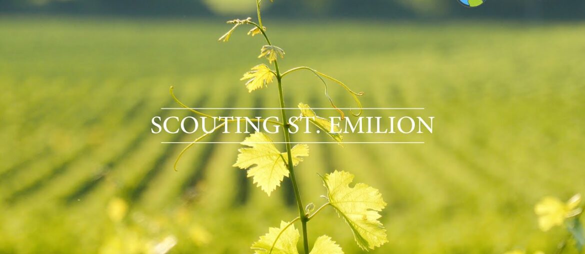 Gourmet Cycling Travel - Saint Emilion