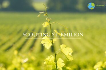 Gourmet Cycling Travel - Saint Emilion