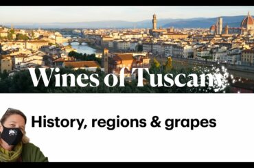 The Wines of Tuscany by the Italian Wine Institute in Florence