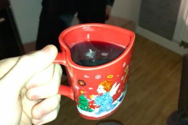 Year Abroad Diaries Ep. 7 - Regensburg and Inhaling Mulled Wine