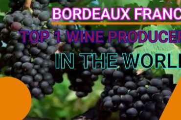 BORDEAUX FRANCE// KNOW THE TOP WORLD WINE PRODUCER/// IMPRESIVE