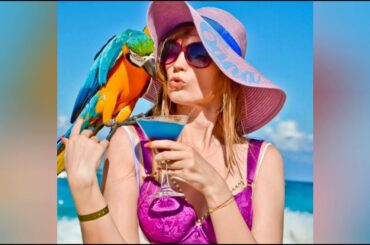 How to survive Quarafkntine