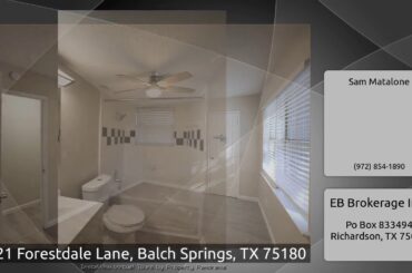 3021 Forestdale Lane, Balch Springs, TX 75180