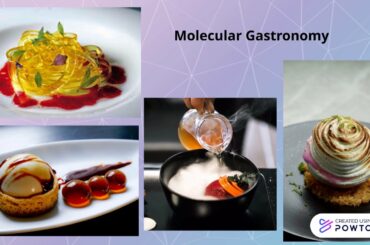 History and Influence of French Cuisine