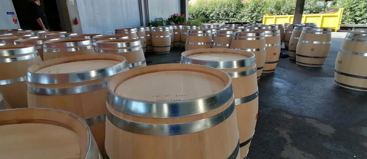 Winemaking process in France, Bordeaux at Chateau d'Arsac in Medoc