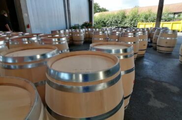 Winemaking process in France, Bordeaux at Chateau d'Arsac in Medoc