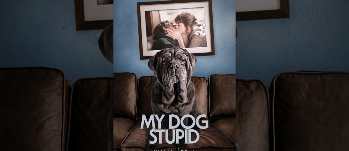 My Dog Stupid My Dog Stupid