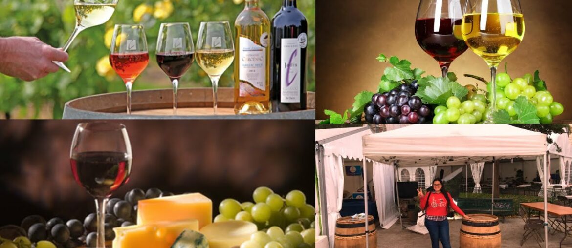 Wine festival France 2019 Wine festival France 2019