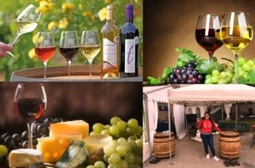 Wine festival France 2019