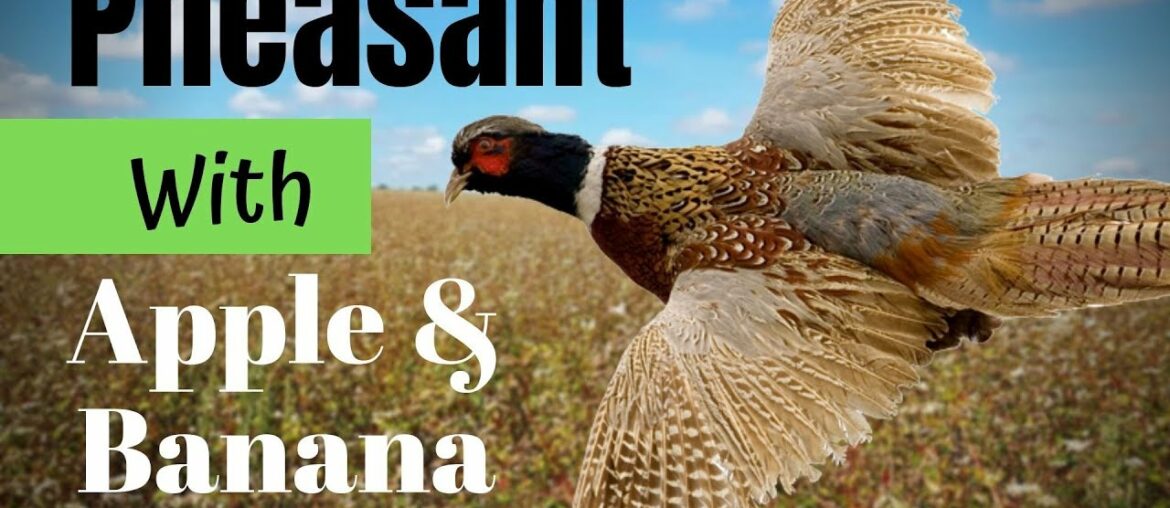 Delicious PHEASANT with Apple & Banana | GREAT recipe for Chicken too!
