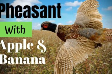 Delicious PHEASANT with Apple & Banana | GREAT recipe for Chicken too!