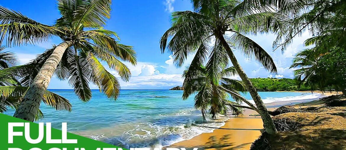 Martinique – French Pearl in the Caribbean | Free Documentary Nature Martinique - French Pearl in the Caribbean | Free Documentary Nature