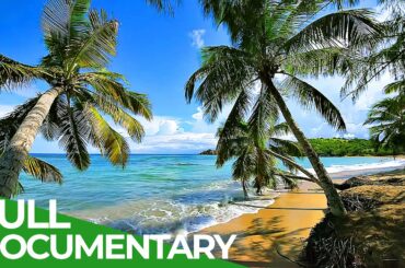 Martinique - French Pearl in the Caribbean | Free Documentary Nature