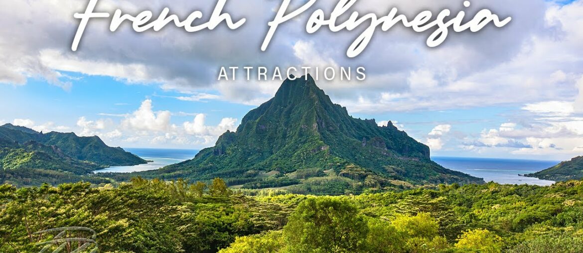 THE DAPPER DOG present French Polynesia escape to Saint Lucia THE DAPPER DOG present French Polynesia escape to Saint Lucia