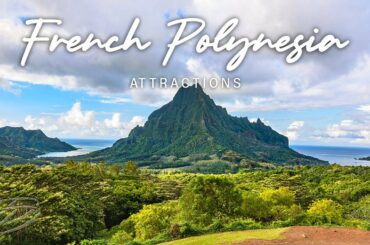 THE DAPPER DOG present French Polynesia escape to Saint Lucia