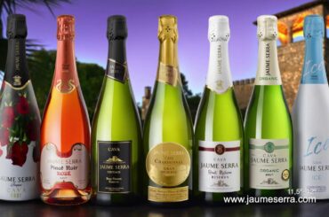 JAUME SERRA, a winery where tradition, technology and quality all come together