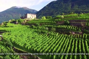 Grand Vin Voice Over