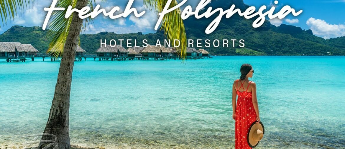 THE DAPPER DOG presents escape to French Polynesia THE DAPPER DOG presents escape to French Polynesia