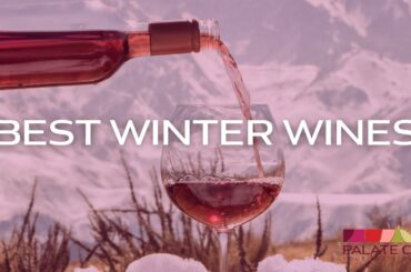 Best Wines to Drink During the Winter