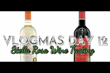 VLOGMAS DAY 12 | STELLA ROSA WINE TASTING| KayChanel