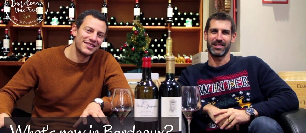 Bordeaux Wines Revival