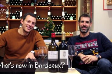 Bordeaux Wines Revival