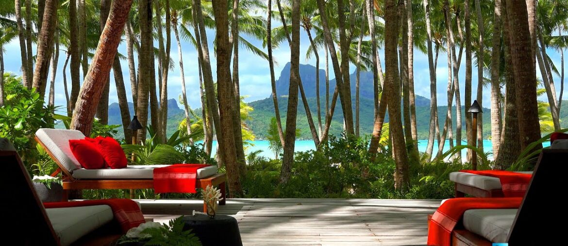 Palm Tree Island Sounds | Relaxing ASMR | Luxury Lifestyle | Motu Tane | Bora Bora, French Polynesia Palm Tree Island Sounds | Relaxing ASMR | Luxury Lifestyle | Motu Tane | Bora Bora, French Polynesia