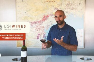 Calandrelle Vielles Vignes Pays d'Herault Carignan Wine Review