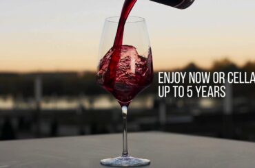 Bernard Magrez Merlot Wine Review