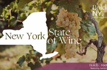 Episode 4 - New York State of Wine: Boldy, rooted. with Jamie Goode
