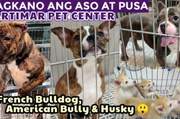 CARTIMAR PET PRICE UPDATE (French Bulldog, American Bully, Husky, ChowChow, Shih Tzu & More)