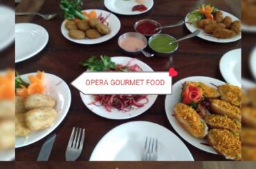 OPERA GOURMET FOOD caterers