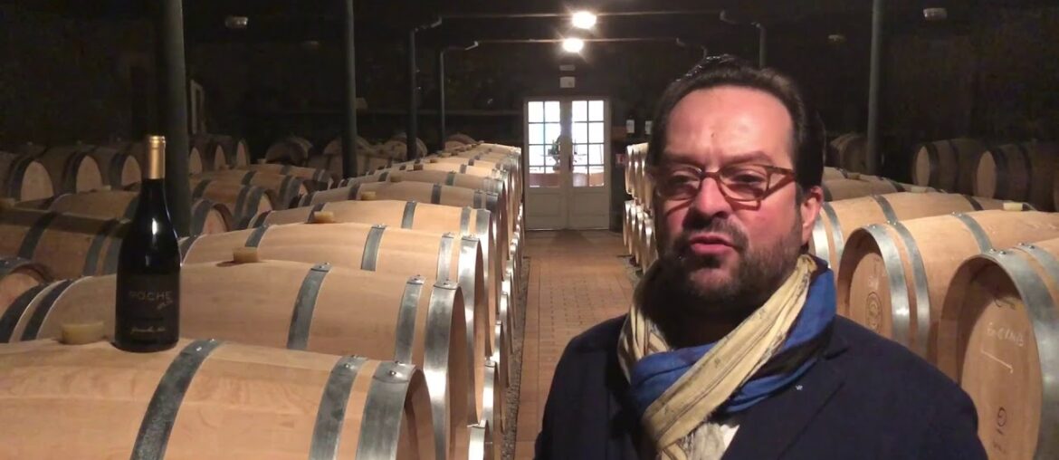 Nectar Grenache Wine Review Nectar Grenache Wine Review