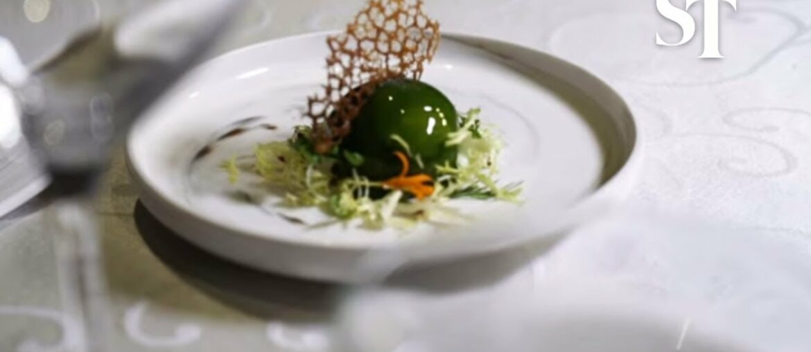 A gourmet dog food taste-test A gourmet dog food taste-test