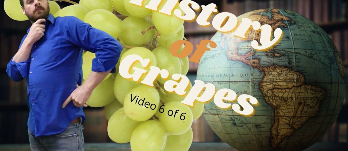 Video 6 - History of grapegrowing