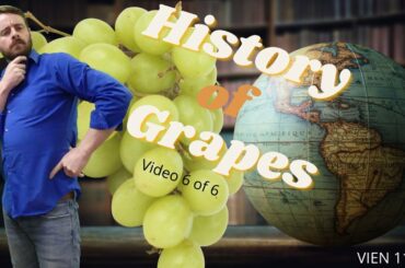 Video 6 - History of grapegrowing
