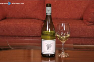 Review of Villa Blanche Terret Blanc 2019 in Waitrose