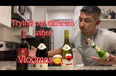 Trying out DIFFERENT TYPES of WINE!