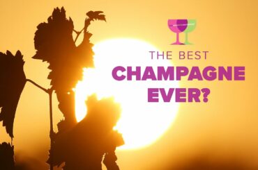 Celebrate New Year's Eve with the world's BEST champagne