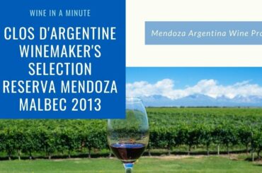 Mendoza Argentina Wine Profile