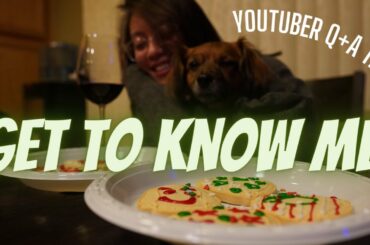 Christmas cookies, wine, and a FUN time | Youtuber Q+A Tag