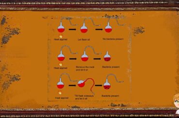 All about   Louis Pasteur , French chemist and microbiologist