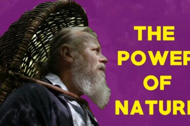 Harvester of Wild Plants, He is Loved by France’s Top Chefs- TheBL.com