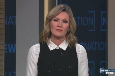 Illinois couple turns van into mobile dining experience