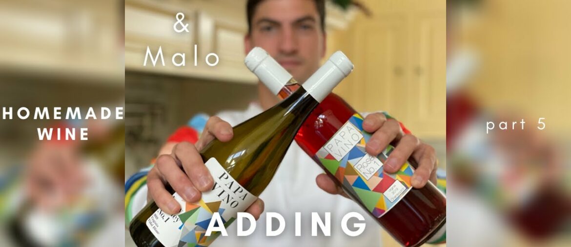 Adding Complexity to Homemade Wine | Oak & Malo | Part 5 Adding Complexity to Homemade Wine | Oak & Malo | Part 5