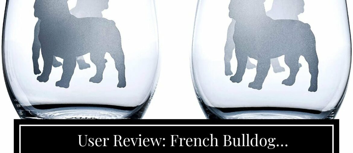 User Review: French Bulldog Gifts/Frenchie Gifts for women Large 15 oz Libbey Stemless French B...