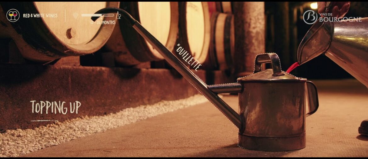 Wine growing in Bourgogne, an artisanal trade: The People and the Wine Wine growing in Bourgogne, an artisanal trade: The People and the Wine