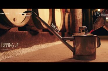 Wine growing in Bourgogne, an artisanal trade: The People and the Wine