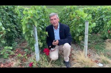 Eric MARTIN Champagne private tour (Eric gourmet tour)