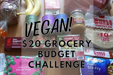 VEGAN $20 GROCERY BUDGET CHALLENGE | A Week of Healthy Meals for $20 at Target